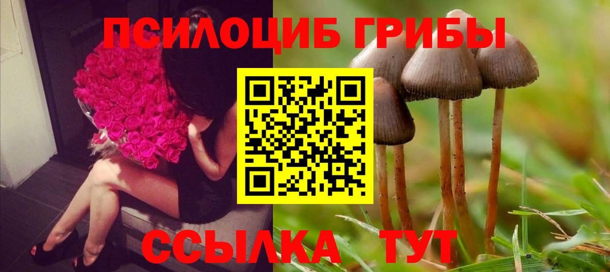 где купить наркоту  Вход с VPN  Псилоцибиновые грибы мицелий  Бутурлиновка  Галлюциногенные грибы прущие грибы 